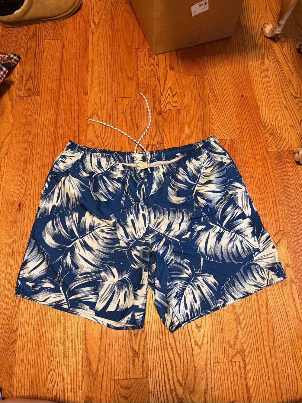 Blue Tropical Leaf Print Swim Trunks